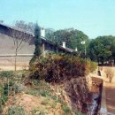 안암초등학교 이미지