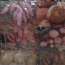 글로리아어린이집 이미지