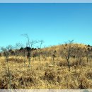 골체오름 이미지