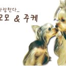 (주)다린 이미지