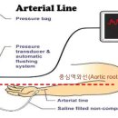 A-LINE 이미지