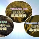 (주)메리코스코리아