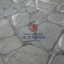 진아조경