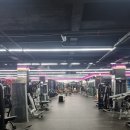 향촌하와이 이미지