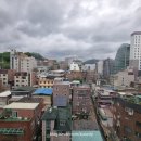 위고인 네이버블로그