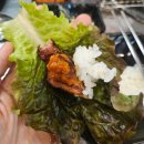 일일고기 네이버블로그