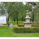 능수버들공원 이미지