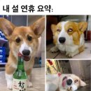맨날술이야 네이버블로그