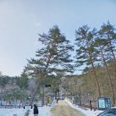 월정사주차장 화장실 이미지