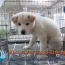선유서로 이미지