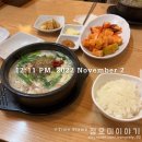 11월 일상 기록