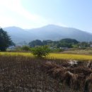 이쁜이네민박
