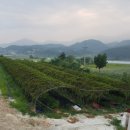 화선농장 이미지