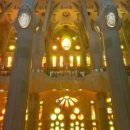 (주)비아나 이미지