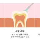 해비치동물병원 이미지