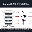 투자선택 프로세스 이미지