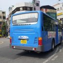 천안시내버스 및 경기버스 서울시내버스 이미지