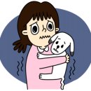 해오름동물병원 이미지