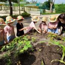 오목초등학교병설유치원 이미지