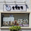 괴정 휴마트 앞 이미지