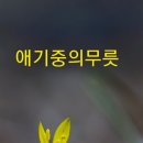 곰배령 꽃길 이미지