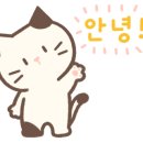 우아미족 이미지