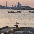 소현고택 | 10,000Hours : 뚜벅이의 1박2일 군산 여행 다녀왔승