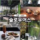 슬로우어스 잠실 석촌호수 브런치 맛집 후기 석촌호수 분위기 좋은 카페 추천 +육지거북이