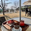 원주자연 | 원주, 관설동 / 피네 :: 봄날 자연뷰 야외 대형카페 후기🌸