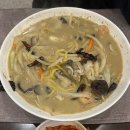 싱글댕글 애견유치원앤호텔 | 2월 일기 (3) | 겨울과 봄 사이