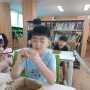 마리초등학교 이미지