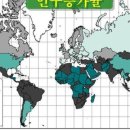 현재의 현 이미지