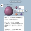 (주)지오크리에이티브 강북지점 | 단두 교정 일기2 지오 헬멧 강북센터 3회차 진행중 지오헬멧 할인코드
