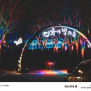 대가야 | 낮보다 아름다운 고령의 밤, 대가야수목원 빛의 숲 후기