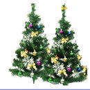 니꼴라오 이미지