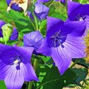 자비손한의원 이미지