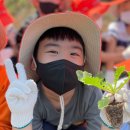 정민유치원 이미지