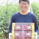 박영신농장 네이버블로그