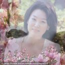 주현미 히트곡 모음 이미지