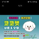 코코펫살롱.호텔