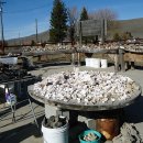 광석주유소 이미지