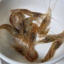 어부마을횟집 | 해남 땅끝마을 어부횟집 자연산 활어의 진가