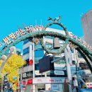 오동동177 이미지