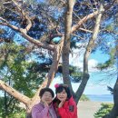 호계2동-2 이미지