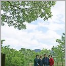 교항1리 이미지