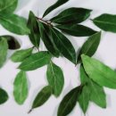 남해군종합사회복지관 이미지