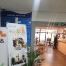 해밀날오후