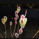 봉곡동281 이미지