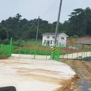 션농장