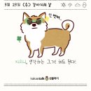 하트는멍멍 - 안양시 만안구 만안로385번길 25-1 | 하트는멍멍
